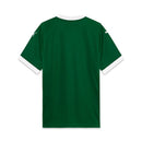 Camisa Masculina Palmeiras I 25/26