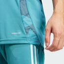 Camisa Masculina Treino Cruzeiro I Tiro 24